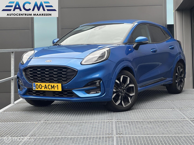 231956953-100