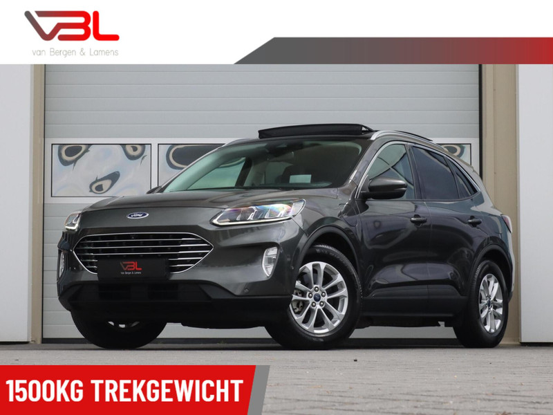 161313351-100