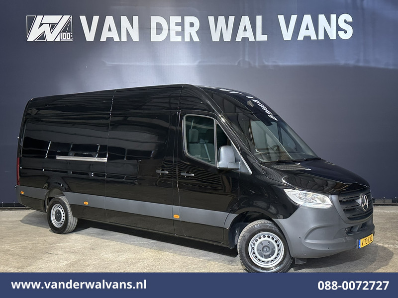 41703244