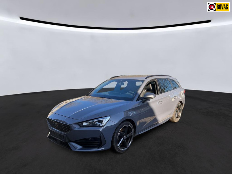 248250189-100