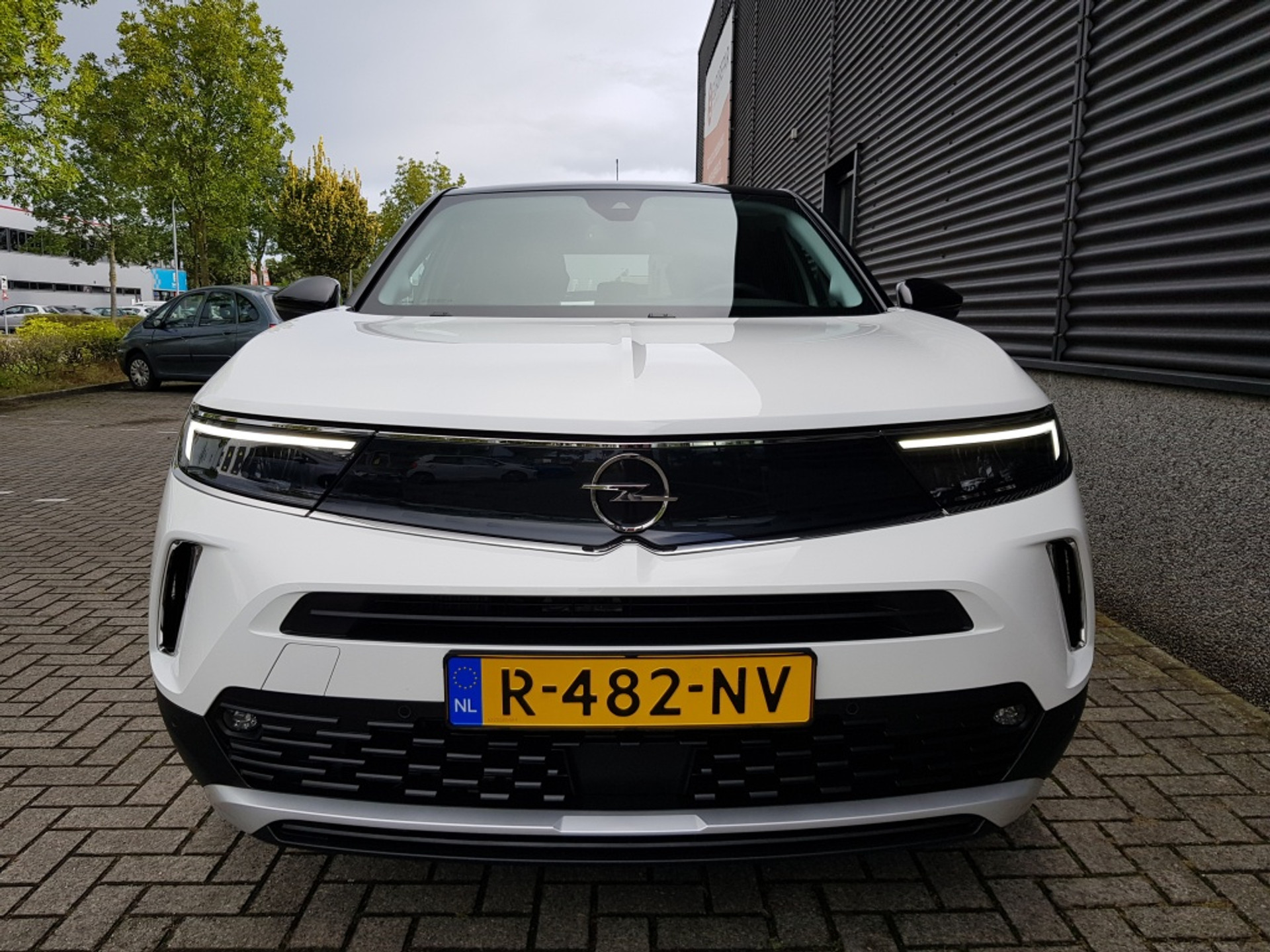 40214807-3.jpg
