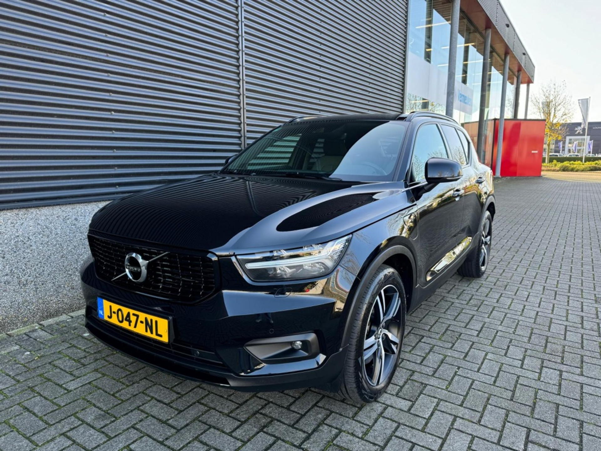 40769075-5.jpg