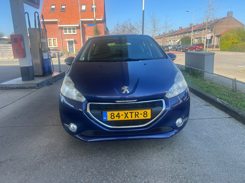 44397845