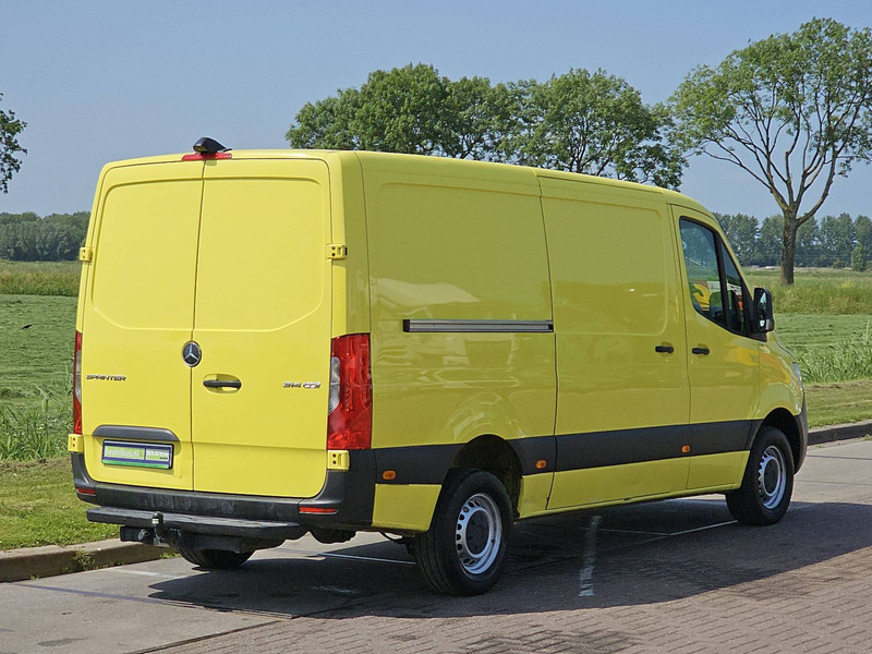46107872-2.jpg