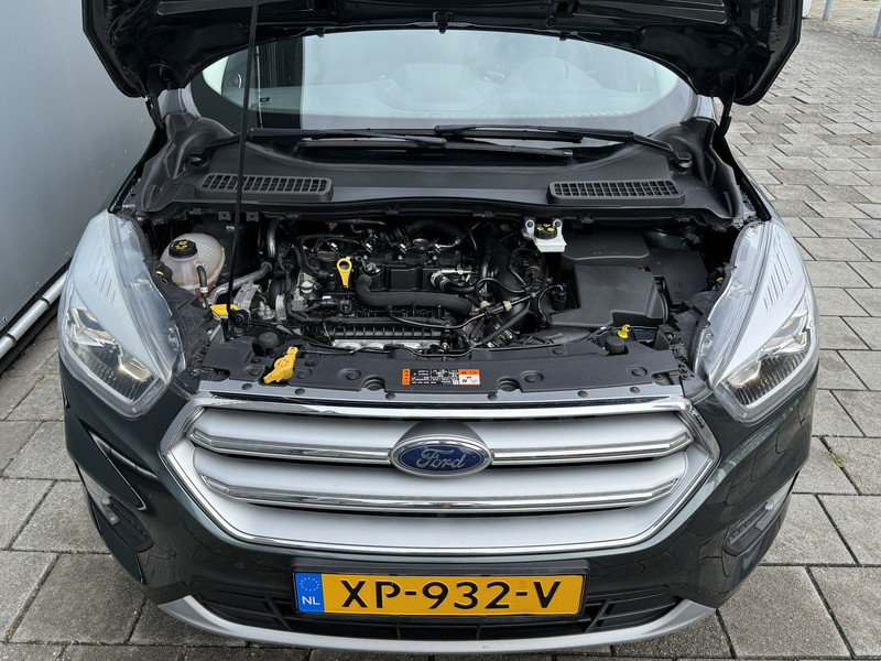 46166937-20.jpg