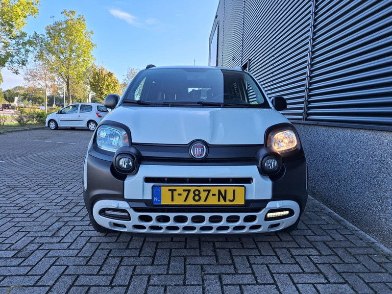46424149-3.jpg
