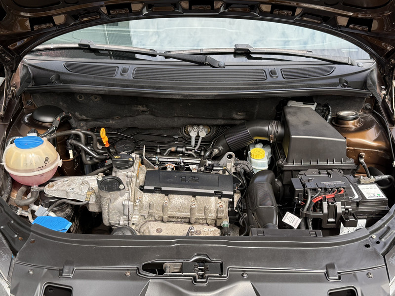 47397328-18.jpg