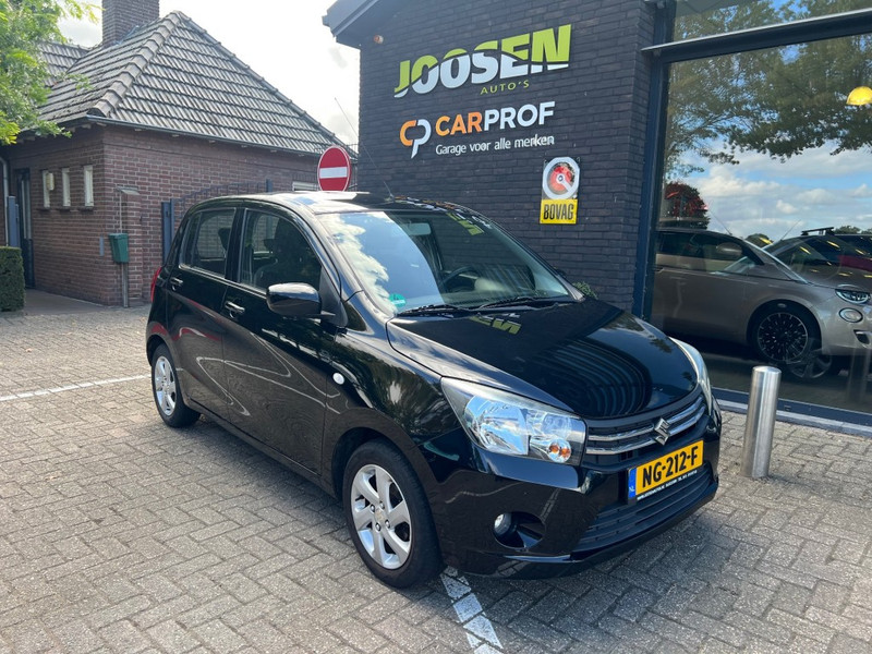 47964036