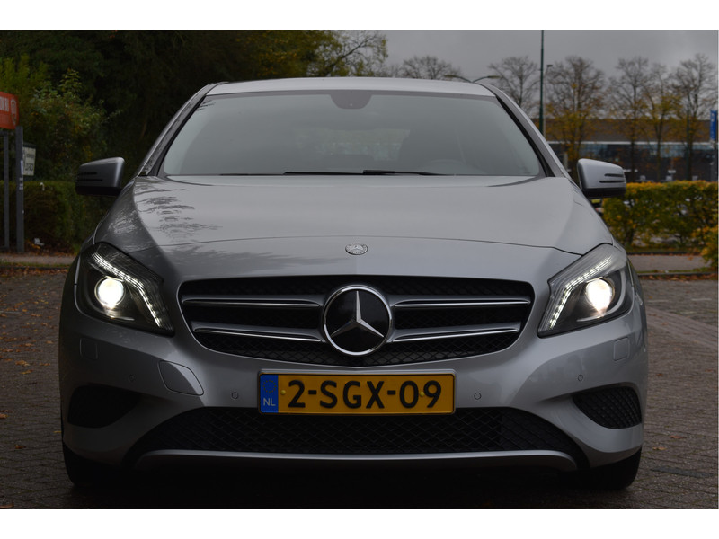 48228420-3.jpg