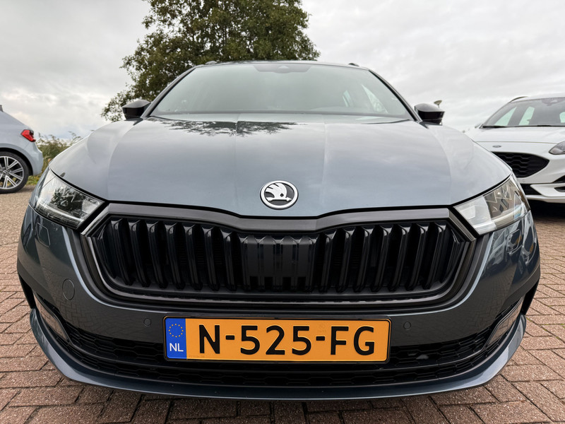48552034-16.jpg