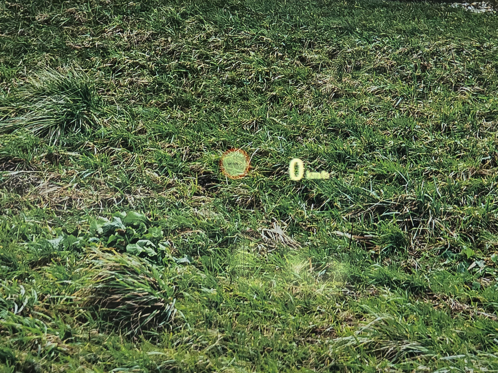 48628838-17.jpg