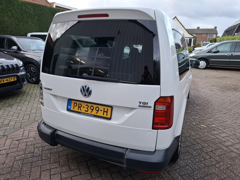 48655411-5.jpg
