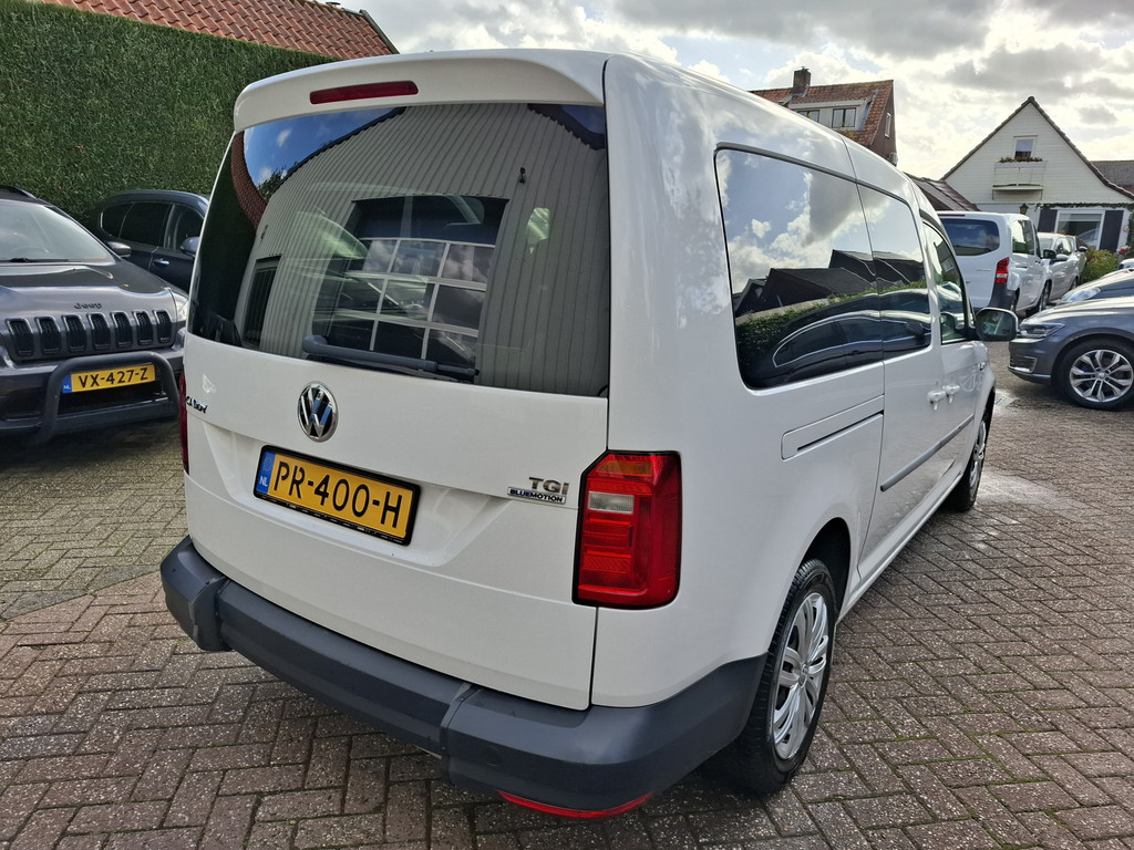 48655424-5.jpg