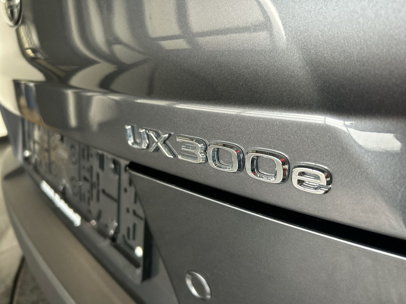 48669329-22.jpg