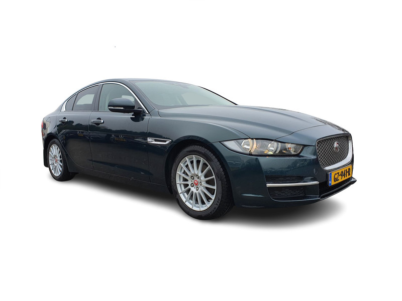 481944005-100