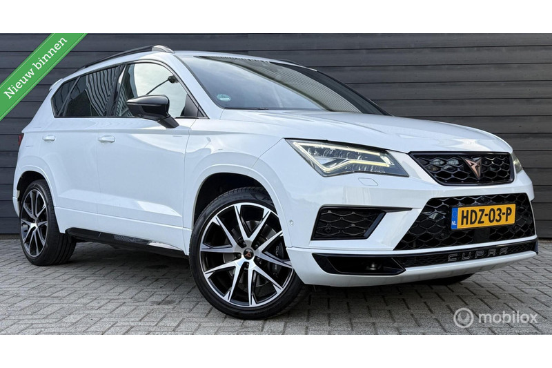 864858195-100