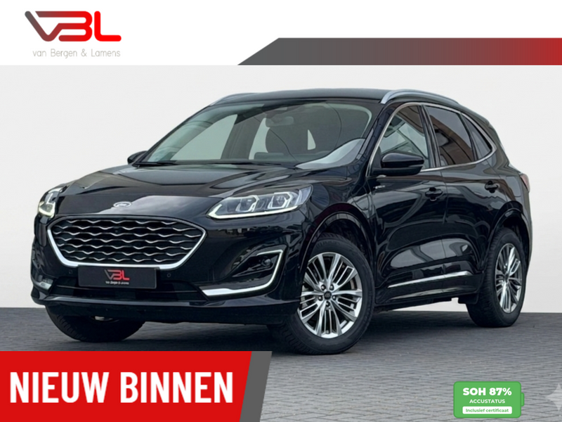 376317761-100